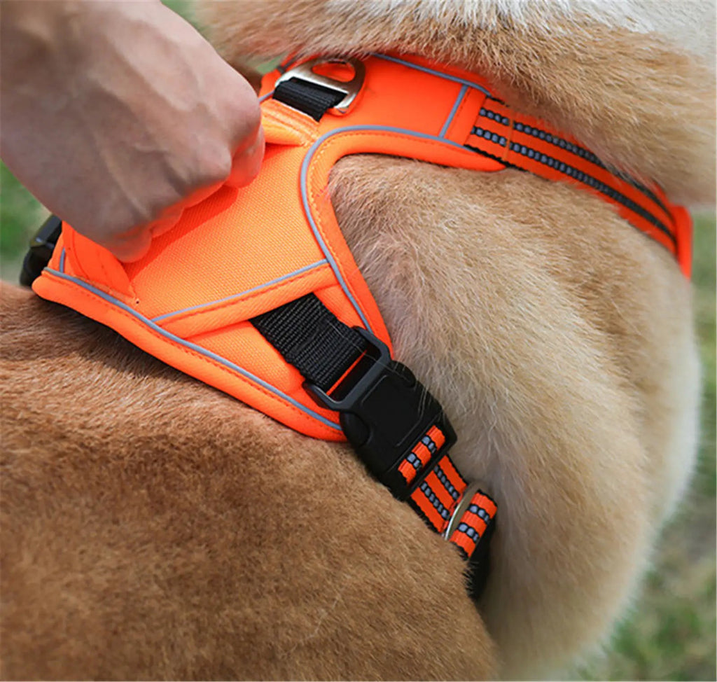 Durable Waterproof Pet Harness with Vertical Handle - FASTSHOPP👜