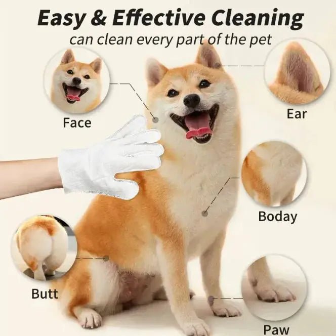 Pet Cleaning Gloves & Wipes - FASTSHOPP👜