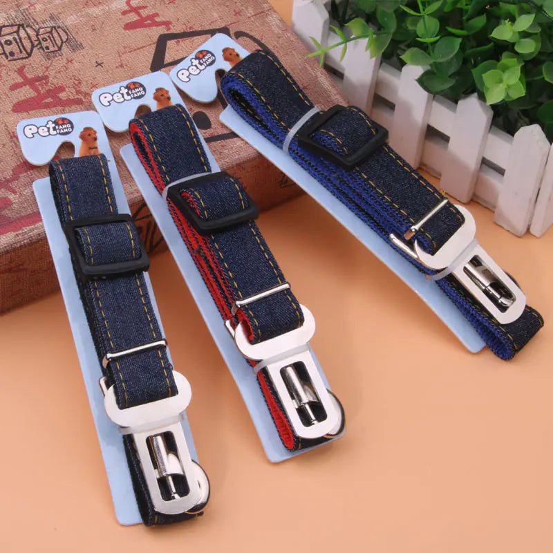 Retractable Safety Leash for Pets - Cowboy Style - FASTSHOPP👜