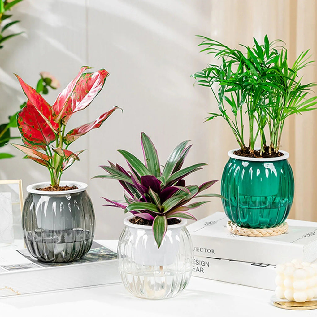 Self Watering Planter Pots Flowerpot Mini Round Design Succulent Plant Pot Indoor Lazy Flower Pot Garden Modern Decorative Pot - FASTSHOPP👜