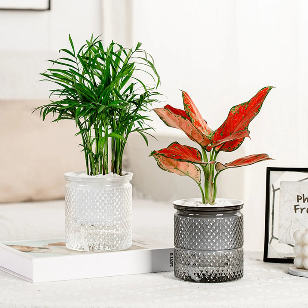 Self Watering Planter Pots Flowerpot Mini Round Design Succulent Plant Pot Indoor Lazy Flower Pot Garden Modern Decorative Pot - FASTSHOPP👜