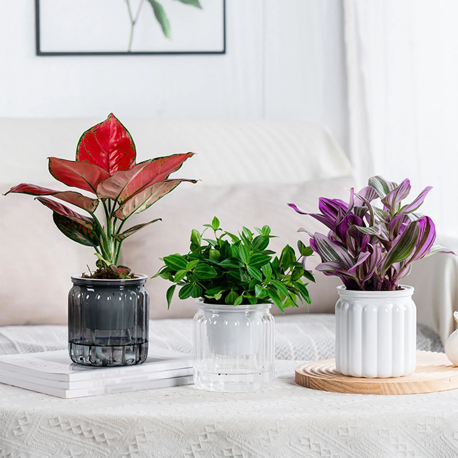 Self Watering Planter Pots Flowerpot Mini Round Design Succulent Plant Pot Indoor Lazy Flower Pot Garden Modern Decorative Pot - FASTSHOPP👜